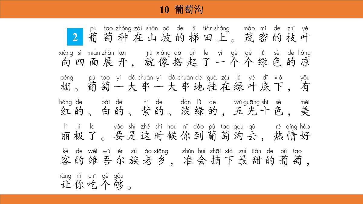 统编版（2024）二年级语文上册课件 第四单元 10  葡萄沟第8页