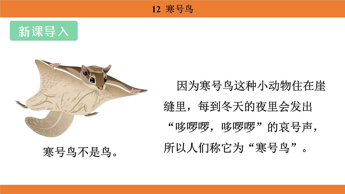 统编版（2024）二年级语文上册课件 第五单元 12  寒号鸟第3页