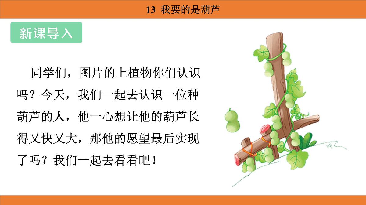 统编版（2024）二年级语文上册课件 第五单元 13  我要的是葫芦第3页