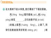 小學(xué)語文新部編版三年級上冊第一單元1 大青樹下的小學(xué) 作業(yè)課件（含答案）（2025秋新版）
