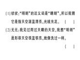 小學(xué)語(yǔ)文新部編版三年級(jí)上冊(cè)第二單元5 鋪滿金色巴掌的水泥道 作業(yè)課件（含答案）（2025秋新版）