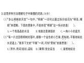 小學(xué)語(yǔ)文新部編版三年級(jí)上冊(cè)第二單元5 鋪滿金色巴掌的水泥道課后服務(wù)作業(yè)課件（含答案）（2025秋）