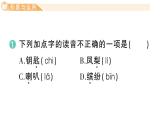 小學(xué)語文新部編版三年級(jí)上冊(cè)第二單元6 秋天的雨 作業(yè)課件（含答案）（2025秋新版）