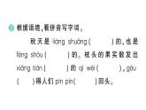 小學(xué)語文新部編版三年級(jí)上冊(cè)第二單元6 秋天的雨 作業(yè)課件（含答案）（2025秋新版）