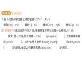 小學(xué)語文新部編版三年級(jí)上冊(cè)第二單元6 秋天的雨 課后服務(wù)作業(yè)課件（含答案）（2025秋）