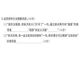 小學(xué)語文新部編版三年級(jí)上冊(cè)第二單元6 秋天的雨 課后服務(wù)作業(yè)課件（含答案）（2025秋）