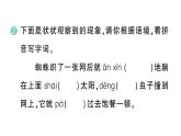 小學(xué)語文新部編版三年級上冊第三單元8 總也倒不了的老屋 作業(yè)課件（含答案）（2025秋新版）