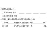 小學語文新部編版三年級上冊第三單元8 總也倒不了的老屋 課后服務作業(yè)課件（含答案）（2025秋）