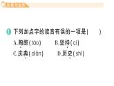 小學(xué)語文新部編版三年級上冊第三單元9 犟龜 作業(yè)課件（含答案）（2025秋新版）
