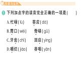 小學(xué)語(yǔ)文新部編版三年級(jí)上冊(cè)第四單元12 在牛肚子里旅行） 作業(yè)課件（含答案）（2025秋新版）