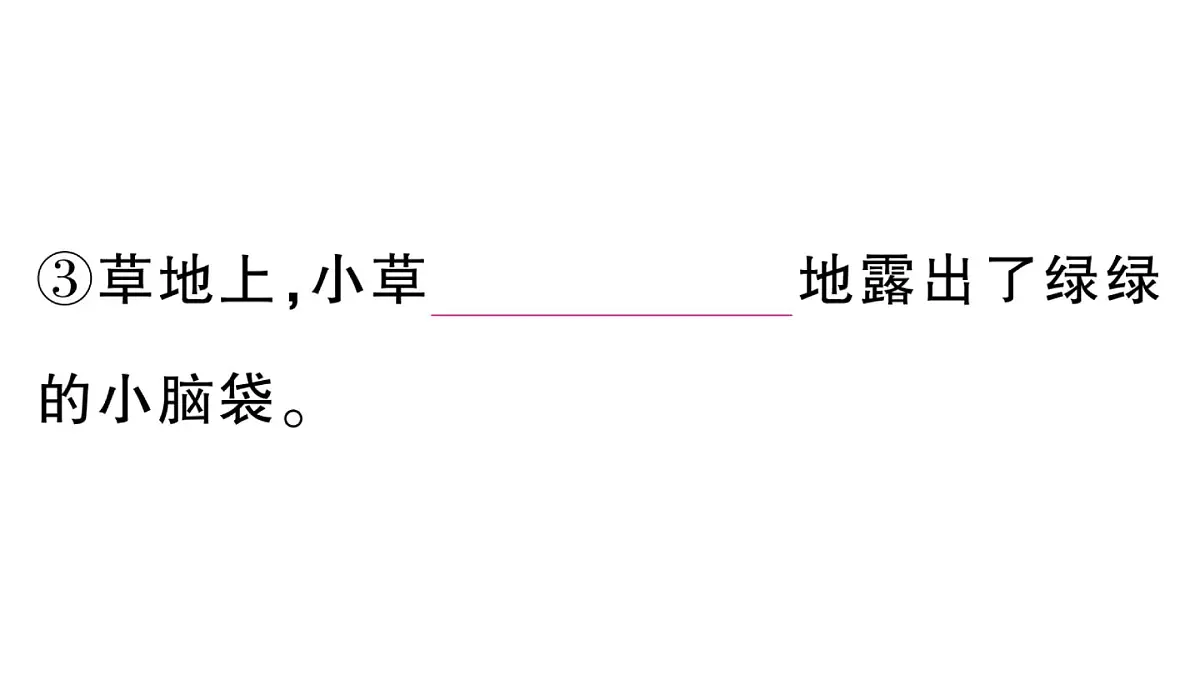 小学语文新部编版三年级上册第四单元13 一块奶酪 作业课件（含答案）（2025秋新版）第5页