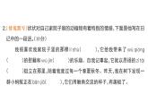 小學語文新部編版三年級上冊第七單元22 讀不完的大書  課后服務作業(yè)課件（含答案）（2025秋）