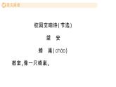 小學語文新部編版三年級上冊第一單元單元主題閱讀一 作業(yè)課件（含答案）（2025秋新版）