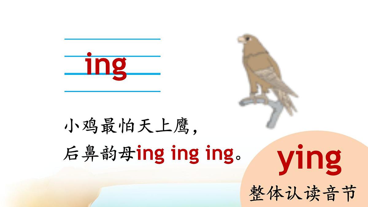 （25秋）人教统编版小学语文一年级上册14 ɑng eng ing ong 课件第6页