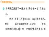 小學(xué)語文新部編版三年級上冊第二單元4 古詩三首 作業(yè)課件（含答案）（2025秋新版）