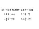 小學(xué)語文新部編版三年級(jí)上冊(cè)第五單元14 搭船的鳥  作業(yè)課件（含答案）（2025秋新版）