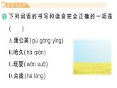 小學(xué)語文新部編版三年級(jí)上冊(cè)第五單元15 金色的草地  作業(yè)課件（含答案）（2025秋新版）