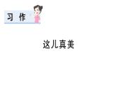 小學語文新部編版三年級上冊第六單元習作：這兒真美 作業(yè)課件（含答案）（2025秋新版）
