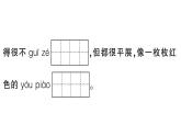 小學(xué)語文新部編版三年級上冊第二單元綜合訓(xùn)練 作業(yè)課件（含答案）（2025秋新版）