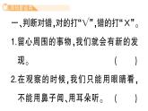 小學(xué)語文新部編版三年級上冊第五單元習(xí)作園地  作業(yè)課件（含答案）（2025秋新版）
