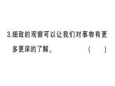 小學(xué)語文新部編版三年級上冊第五單元習(xí)作園地  作業(yè)課件（含答案）（2025秋新版）