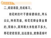 小學(xué)語文新部編版三年級上冊第五單元習(xí)作園地  作業(yè)課件（含答案）（2025秋新版）