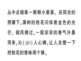 小學(xué)語文新部編版三年級上冊第五單元習(xí)作園地  作業(yè)課件（含答案）（2025秋新版）
