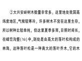 小學(xué)語文新部編版三年級(jí)上冊(cè)第六單元單元主題閱讀六作業(yè)課件（含答案）（2025秋新版）
