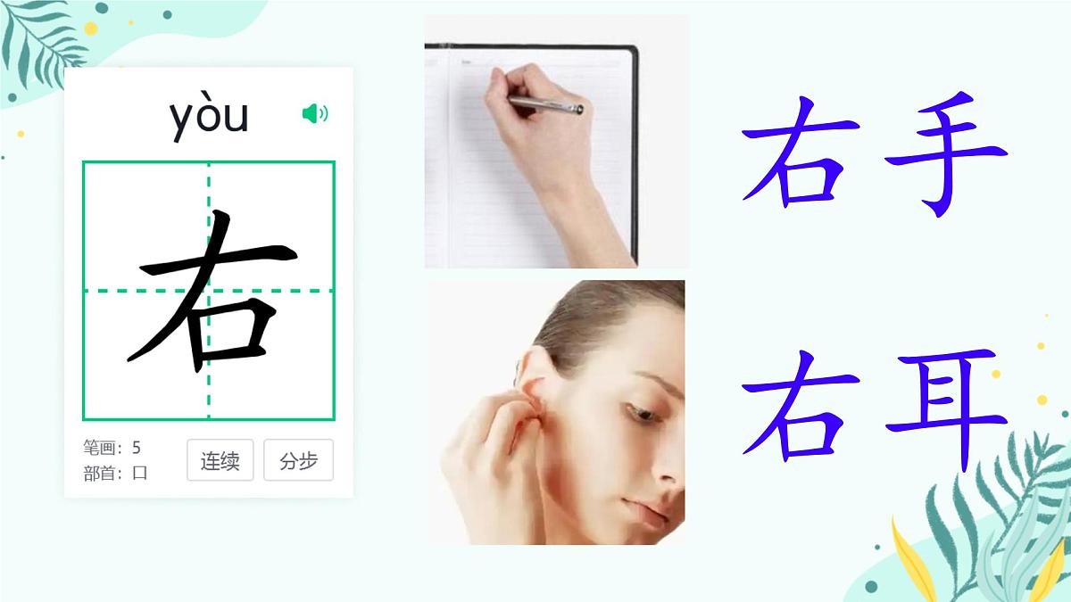 小学  语文  统编版（2024）  一年级上册（2024）  第七单元 阅读6 影子 课件第5页