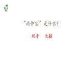 小学  语文  统编版（2024）  一年级上册（2024）  第七单元 阅读7 两件宝 课件