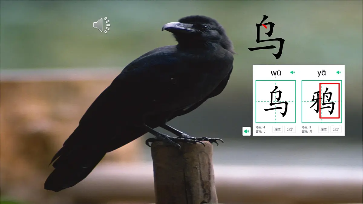 小学 语文 统编版（2024） 一年级上册（2024） 第八单元 阅读9 乌鸦喝水 课件第1页
