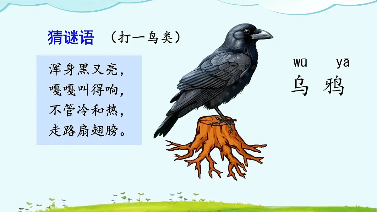 小学 语文 统编版（2024） 一年级上册（2024） 第八单元 阅读9 乌鸦喝水 课件第2页