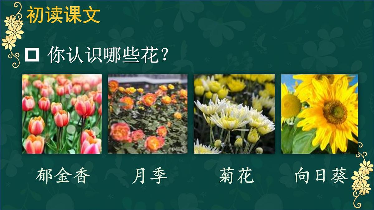 25秋人教统编版小学语文六年级上册第一单元4 花之歌课件第2页