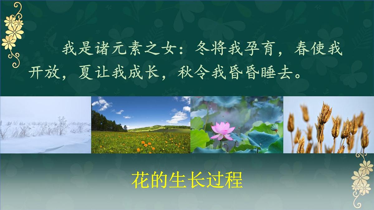 25秋人教统编版小学语文六年级上册第一单元4 花之歌课件第8页
