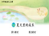 25秋人教统编版-小学语文六年级上册第五单元16 夏天里的成长 课件