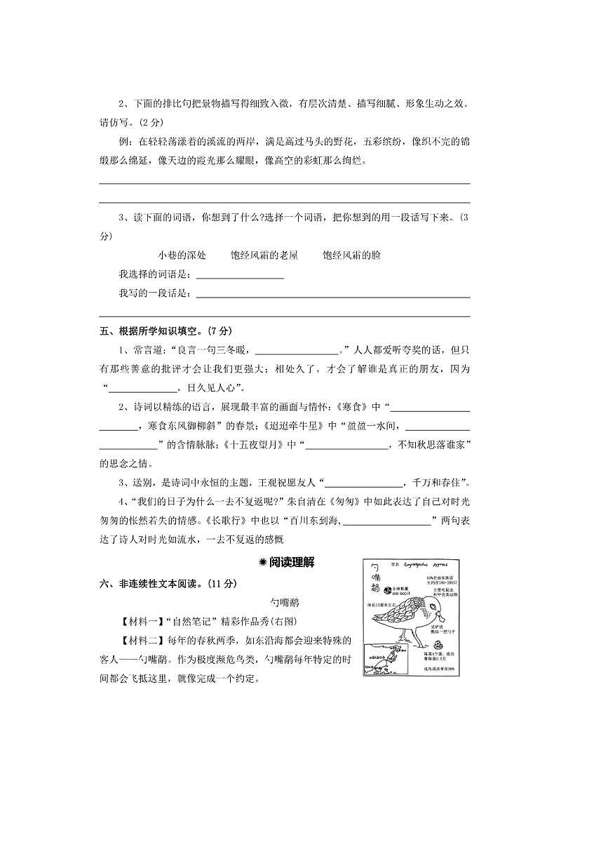 2024～2025年【小升初分班测试卷三十七】～小升初语文分班测试卷(含答案)第3页