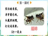 【核心素养】部编版小学语文三年级上册12 在牛肚子里旅行-课件+教案+同步练习（含教学反思）