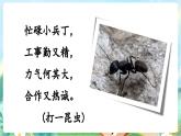 【核心素养】部编版小学语文三年级上册13 一块奶酪-课件+教案+同步练习（含教学反思）