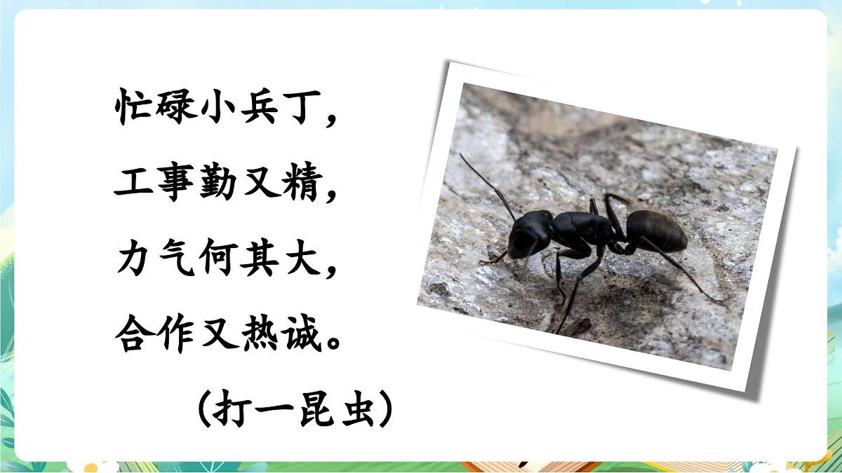 【核心素养】部编版小学语文三年级上册13 一块奶酪-课件第3页