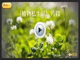 部编版小学语文二年级上册 第一单元 3 植物妈妈有办法 课件+教案+说课稿+教学反思