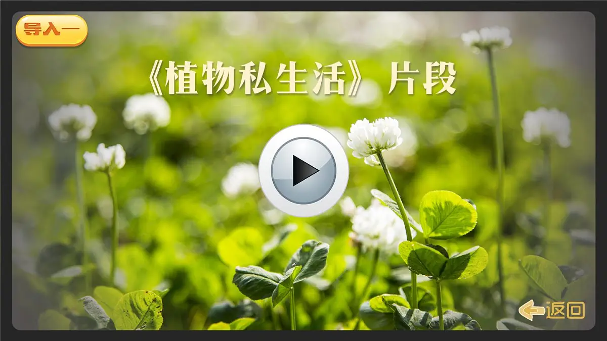 部编版小学语文二年级上册 第一单元 3 植物妈妈有办法 课件+教案+说课稿+教学反思 第3页