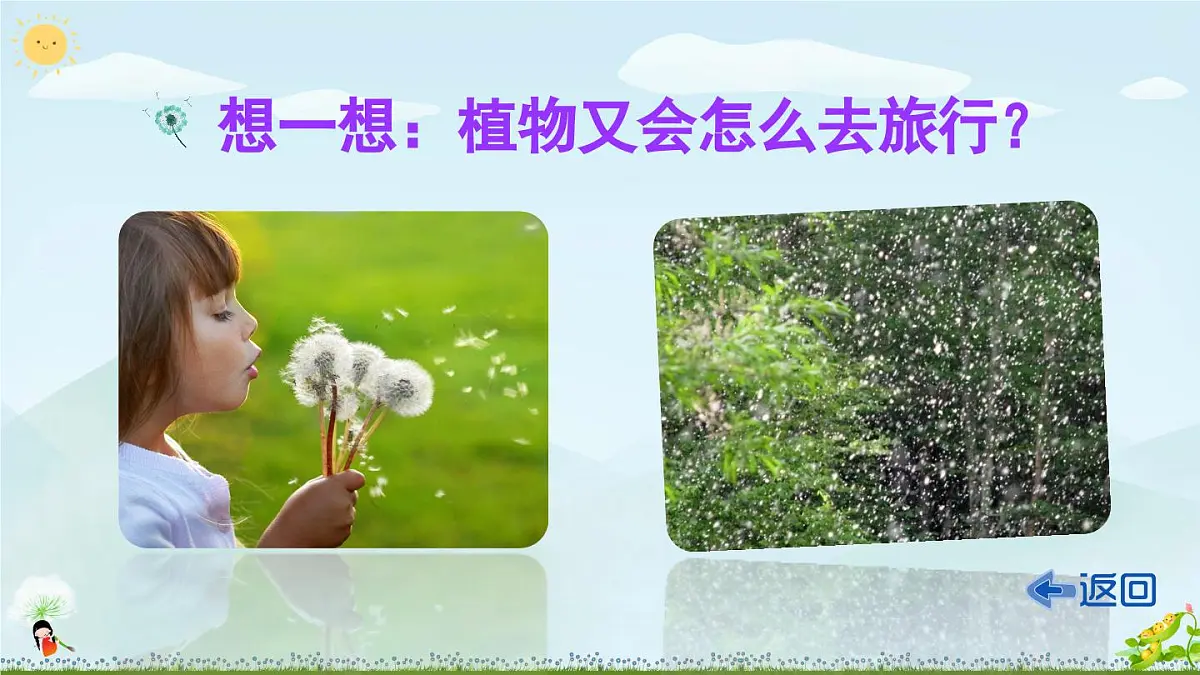 部编版小学语文二年级上册 第一单元 3 植物妈妈有办法 课件+教案+说课稿+教学反思 第5页