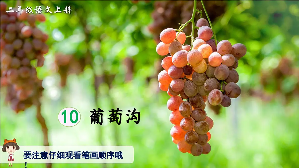 部编版小学语文二年级上册 第四单元 10 葡萄沟 课件+教案+说课稿+教学反思 第9页