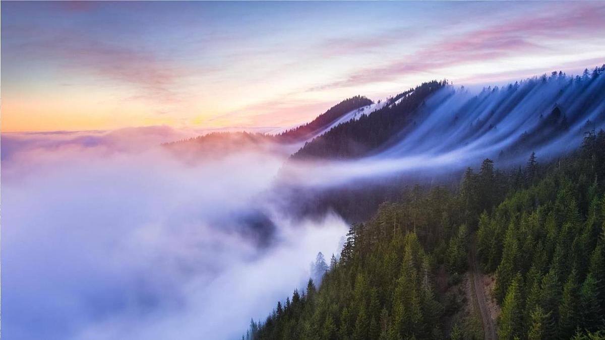 19 雾在哪里第3页