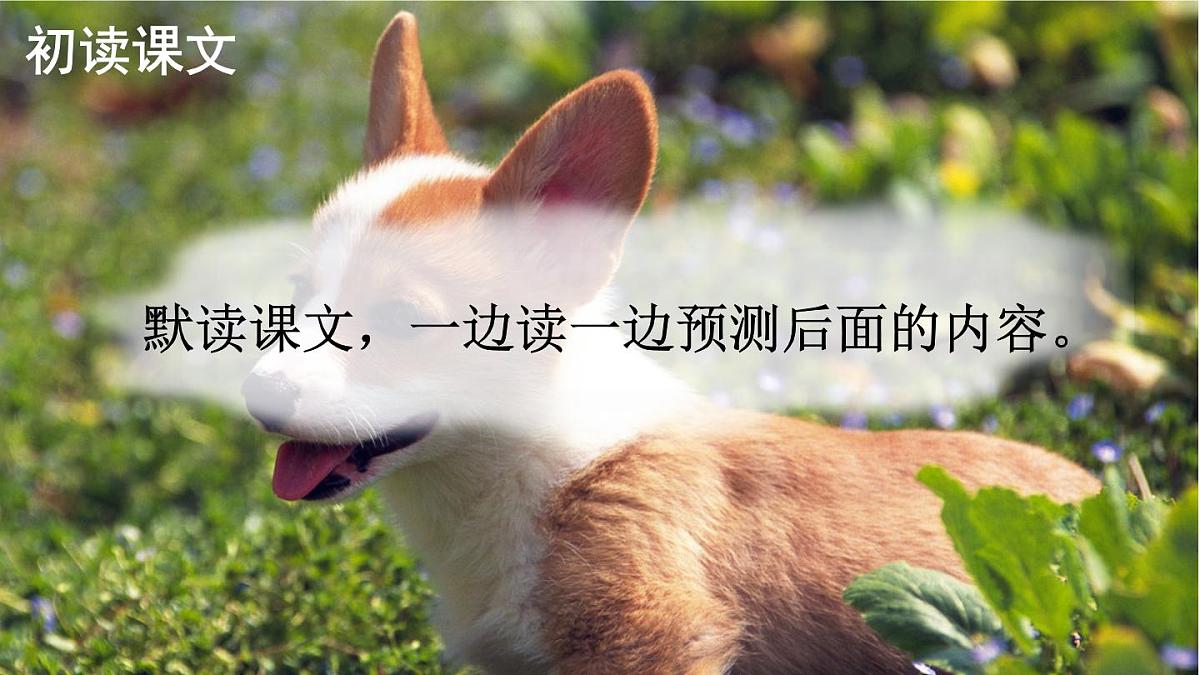 10 小狗学叫【交互版】第8页