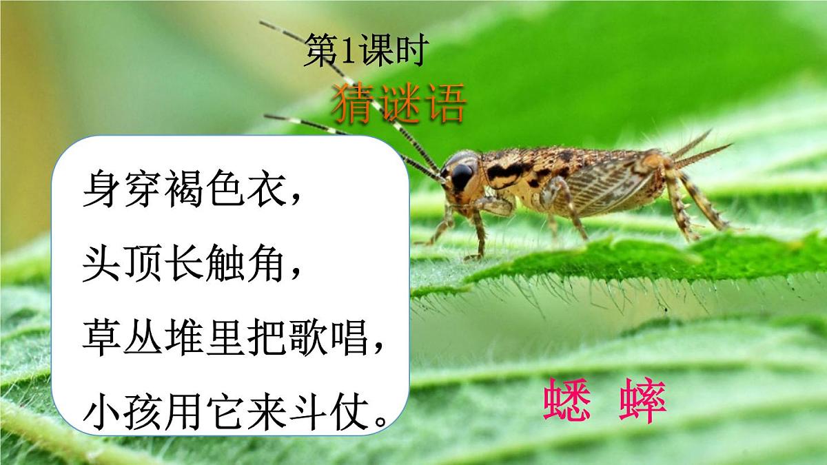 12 在牛肚子里旅行第2页