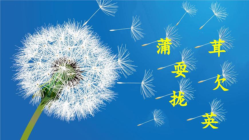 15 金色的草地第6页