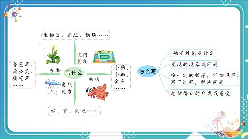 习作：我们眼中的缤纷世界第4页