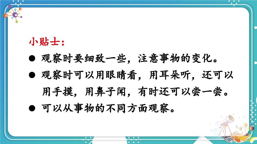 习作：我们眼中的缤纷世界第5页