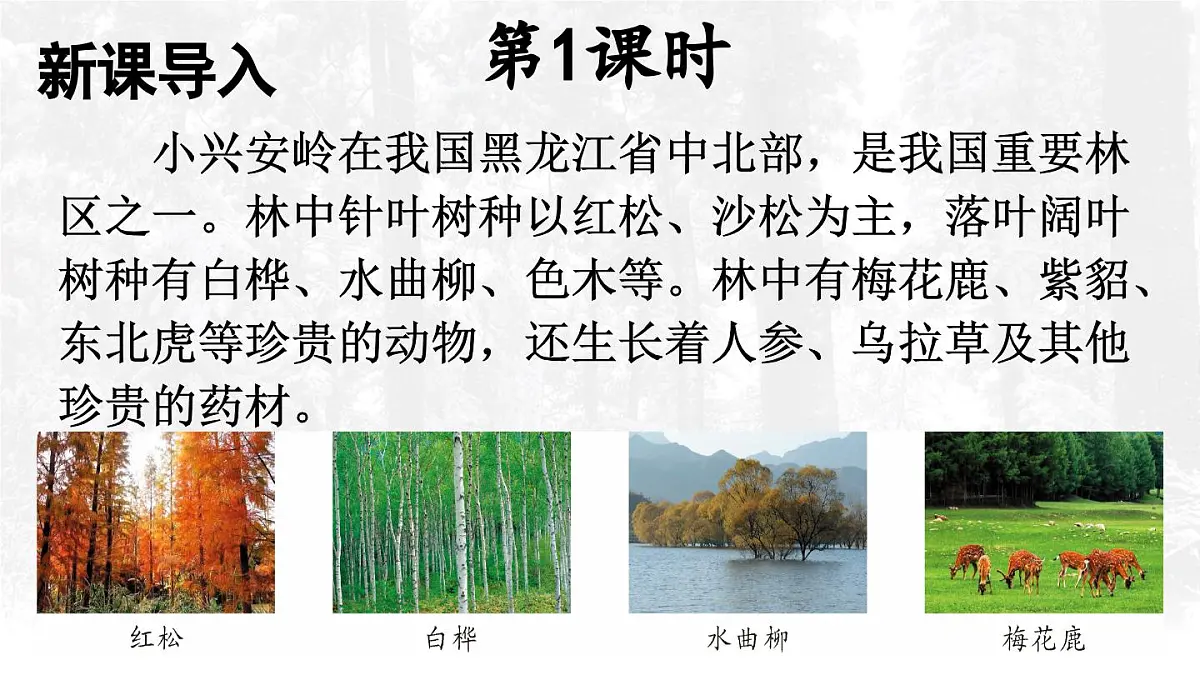 18 美丽的小兴安岭【交互版】第2页